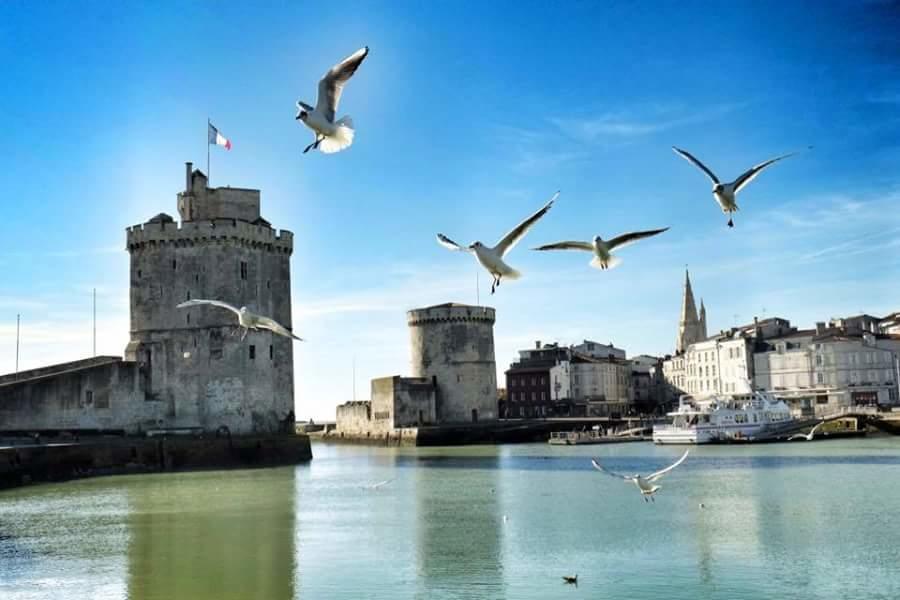 ساتْ Le Clos Des Oiseaux المظهر الخارجي الصورة